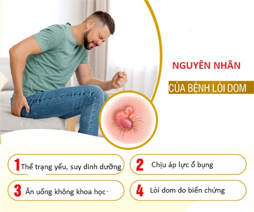 BỆNH LÒI DOM LÀ GÌ?