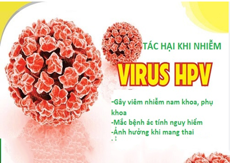 VIRUS HPV LÀ GÌ?