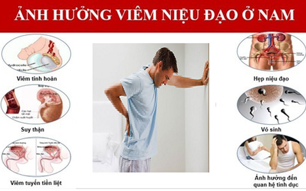 Viêm niệu đạo ảnh hưởng như thế nào?